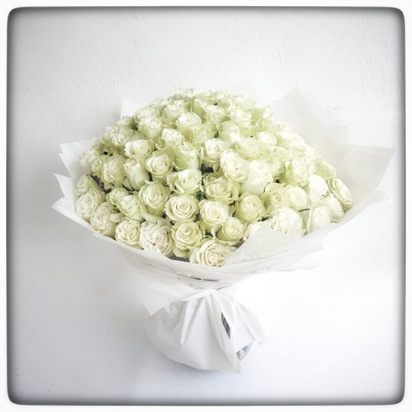 100 rosas blancas