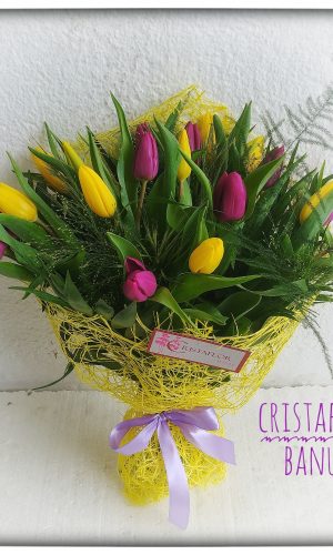 20 tulipanes con verde