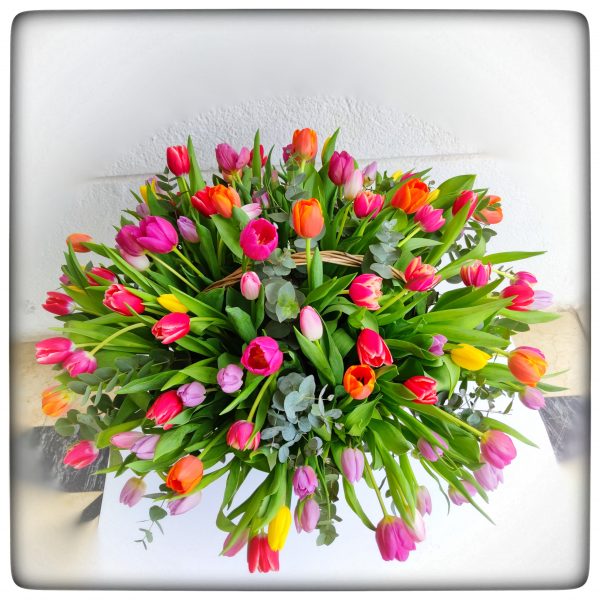 100 tulipanes